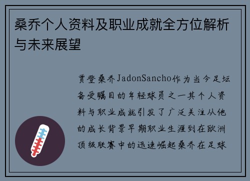 桑乔个人资料及职业成就全方位解析与未来展望